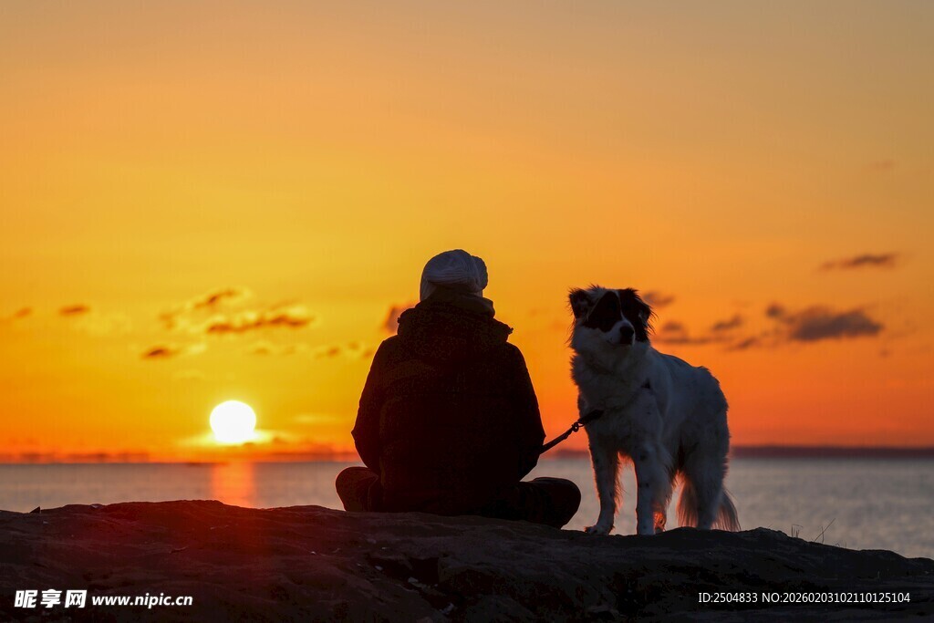 夕阳下人与狗的温馨时刻