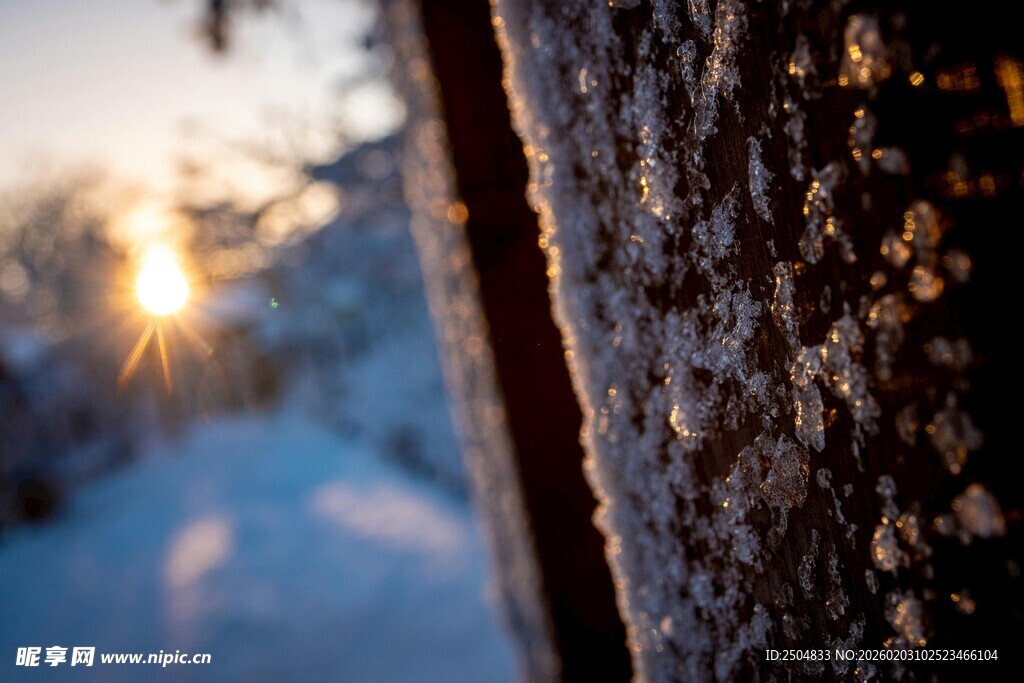冬日雪中铁杆上的霜景