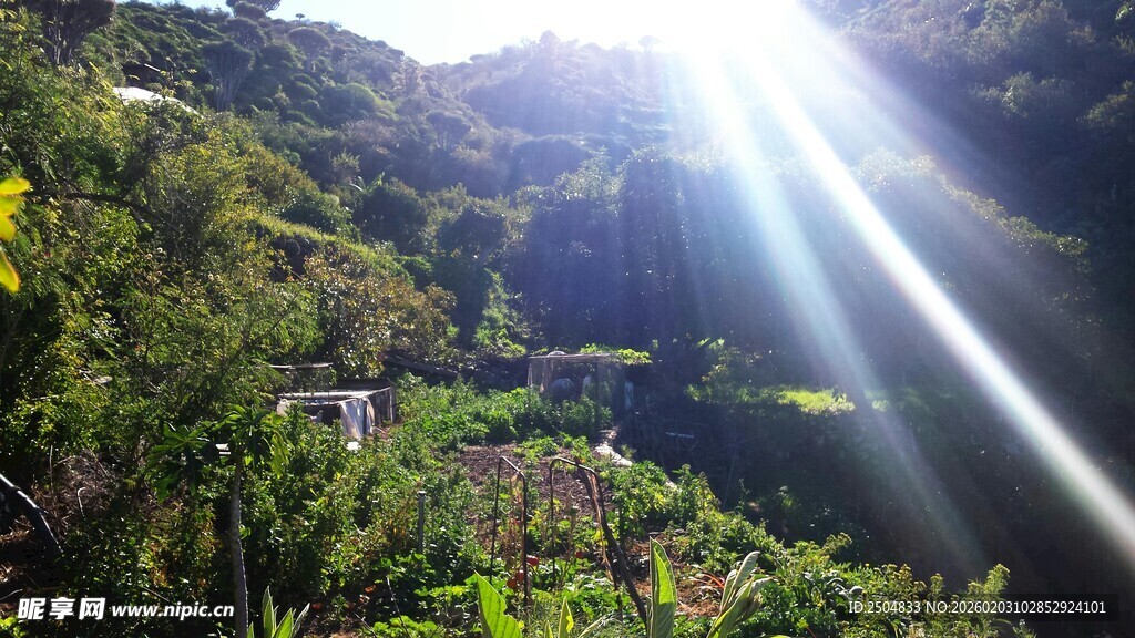 阳光穿透山林美景