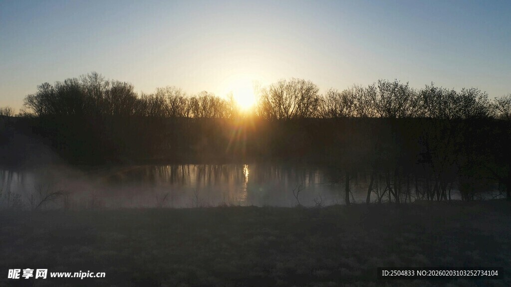 日出时分的雾霭树林