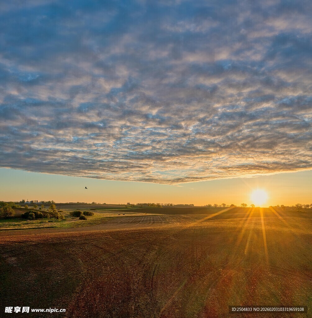 日出时分的广袤田野风光