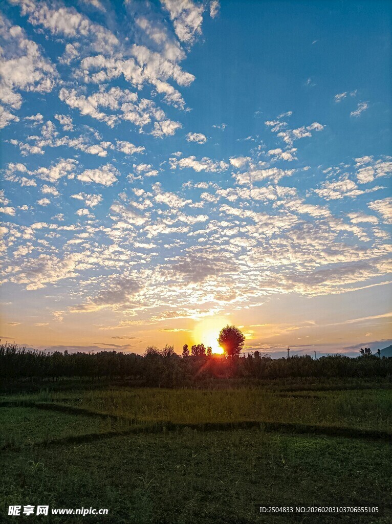 日落时分的田野风光