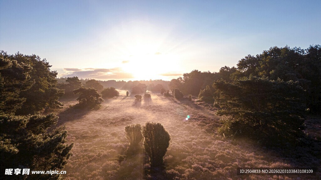 夕阳下的林间小道