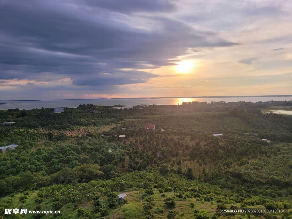 日落时分的绿意盎然景观