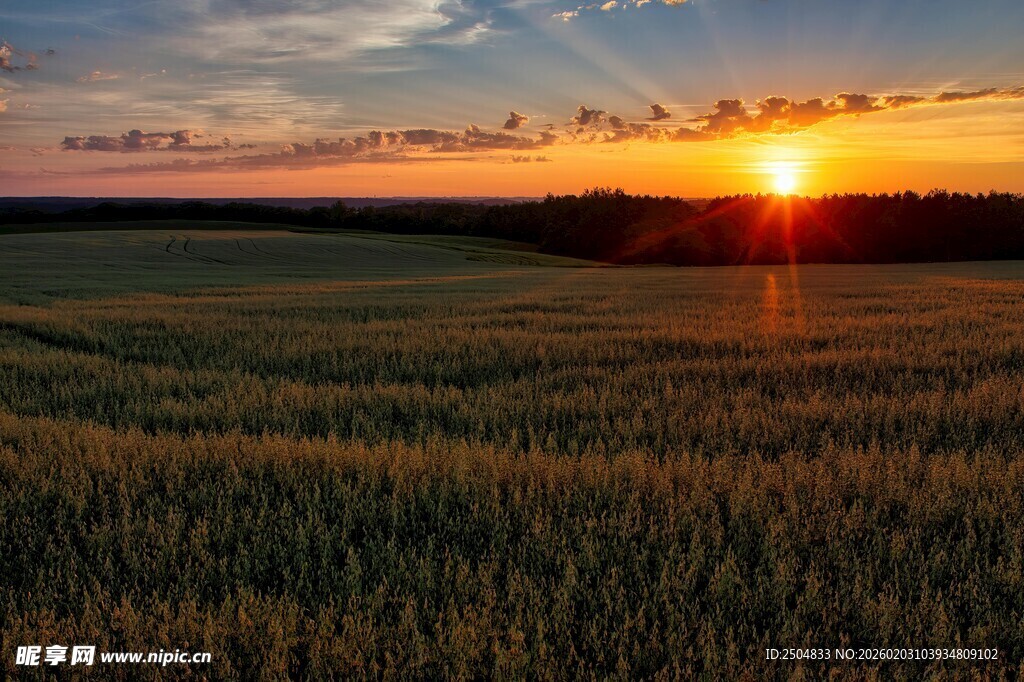 麦田上的绝美日落景象