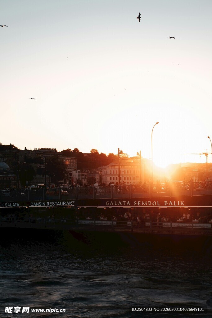 夕阳下的河畔风光
