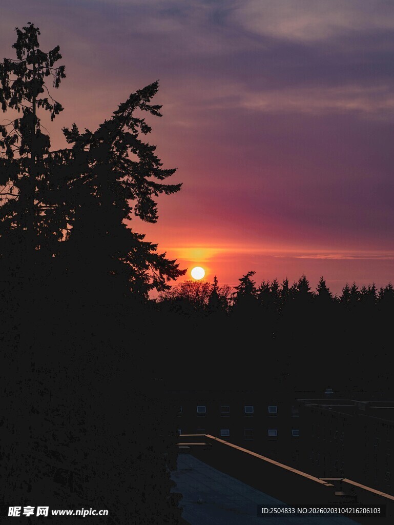 夕阳下的树林与蜿蜒小路