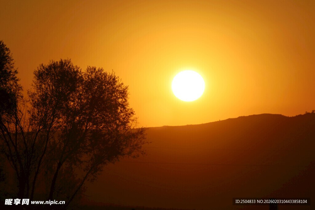 夕阳下的树木与远山