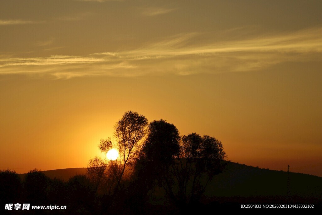 夕阳下的树木剪影