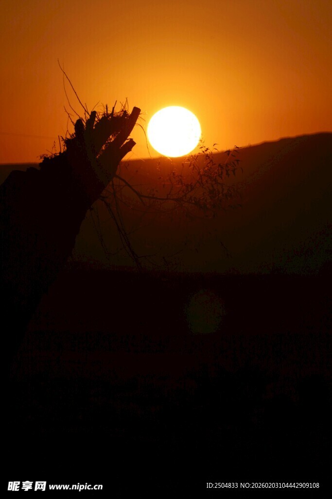  漠日落景象