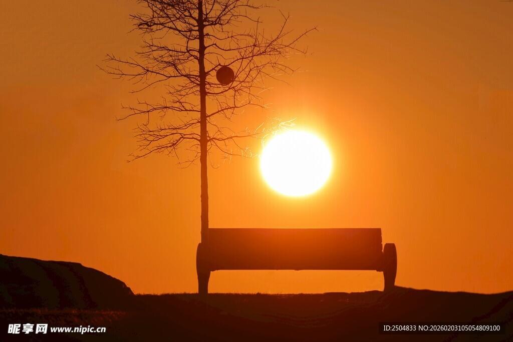 夕阳下长椅与孤树