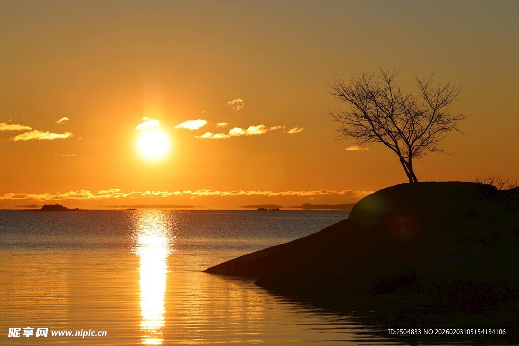 夕阳下孤树映于湖面