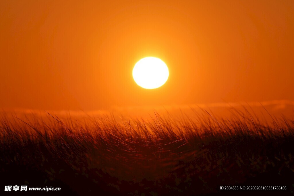 夕阳下的草地美景