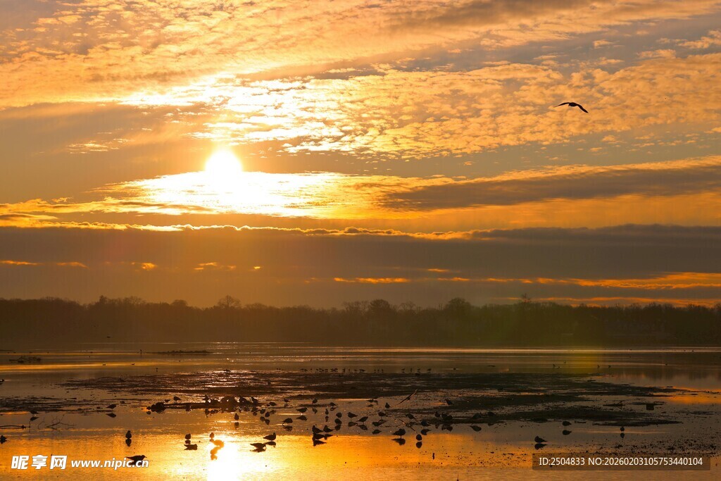 夕阳下的美丽湿地景观