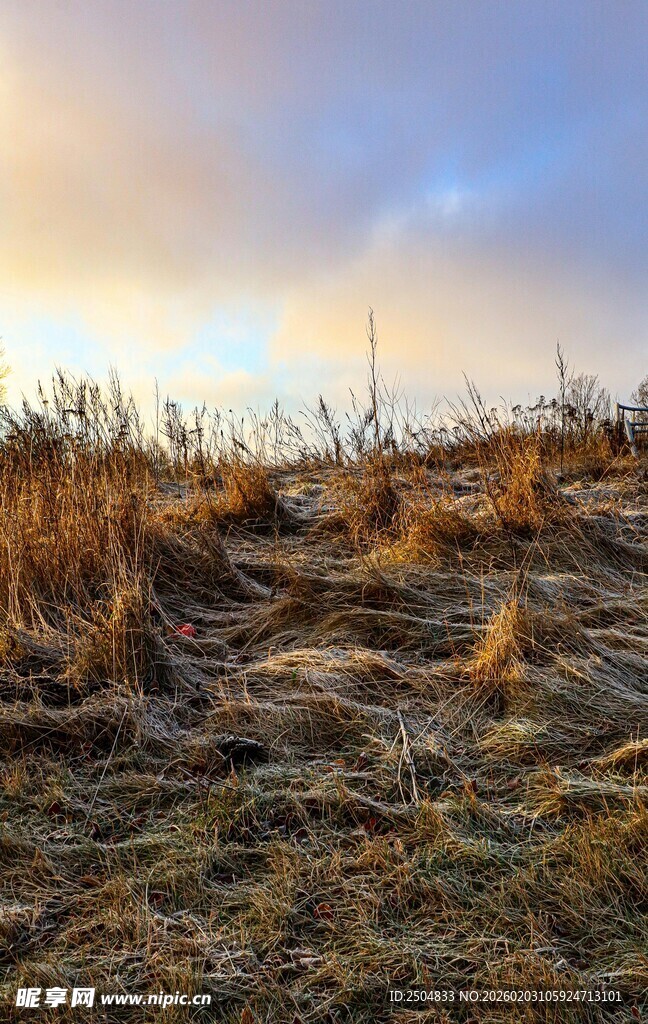 黄昏下的原野草地景色