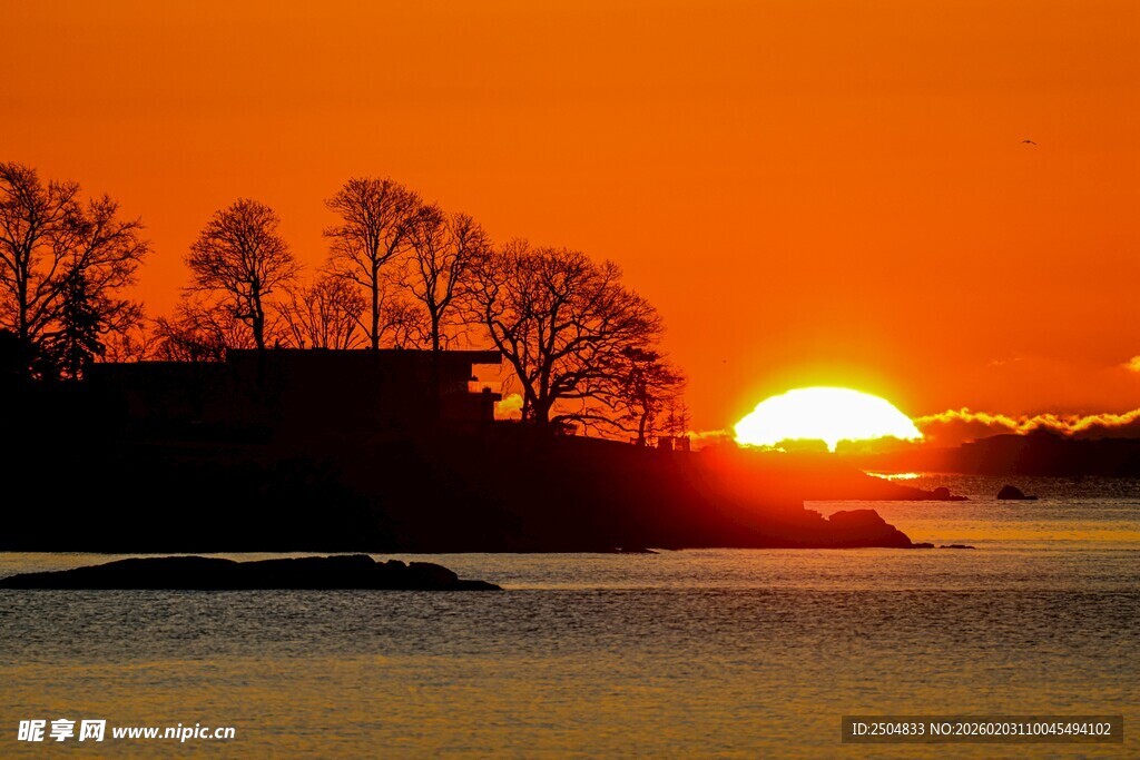 夕阳下的岸边树木景观
