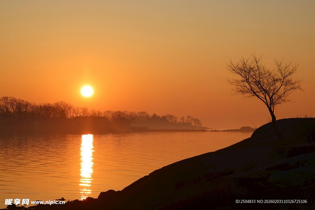 湖畔落日孤树美景