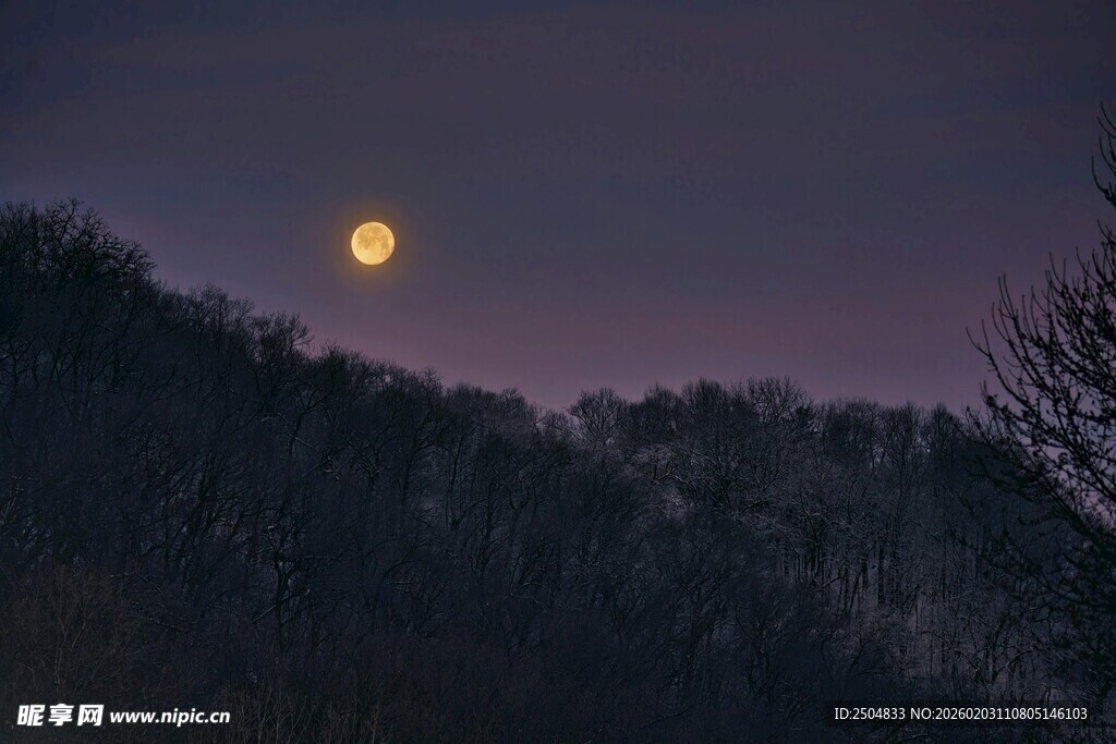 夜幕下的山林与明亮圆月