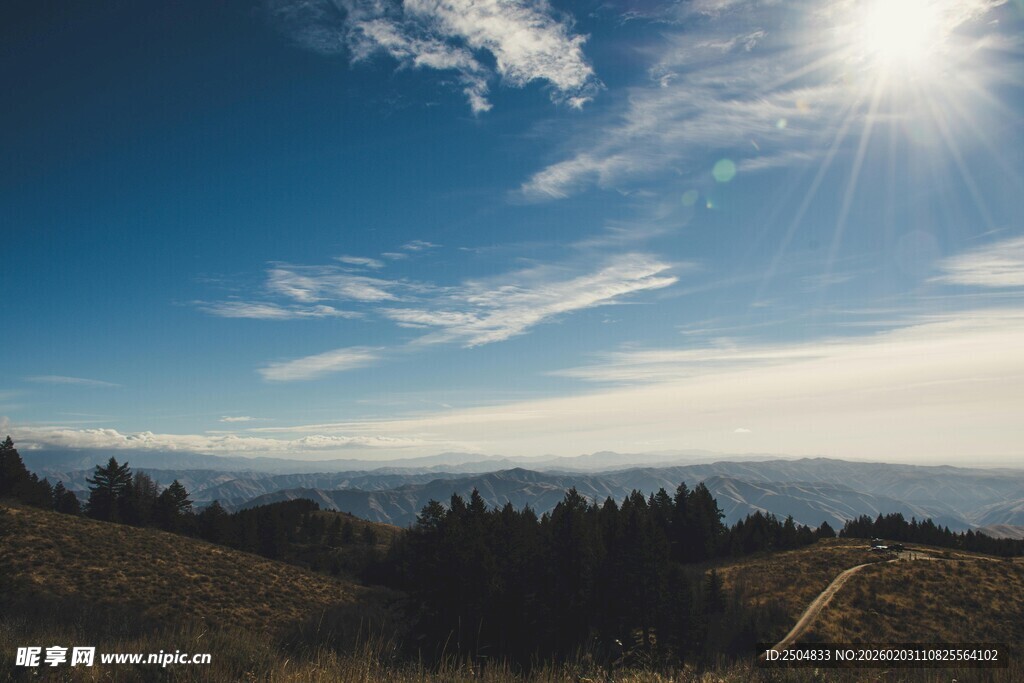 阳光照耀下的山林美景