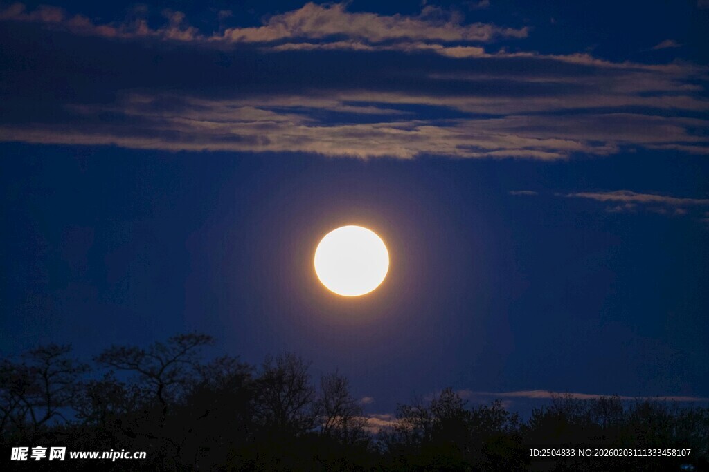 夜空下的明亮圆月