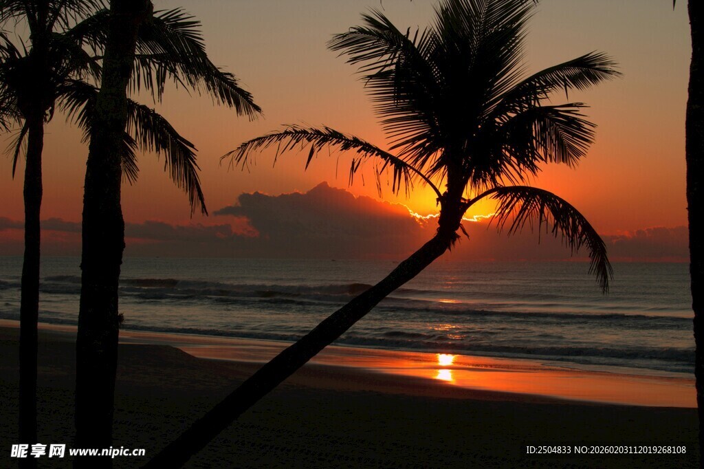 夕阳下的椰林海滩美景