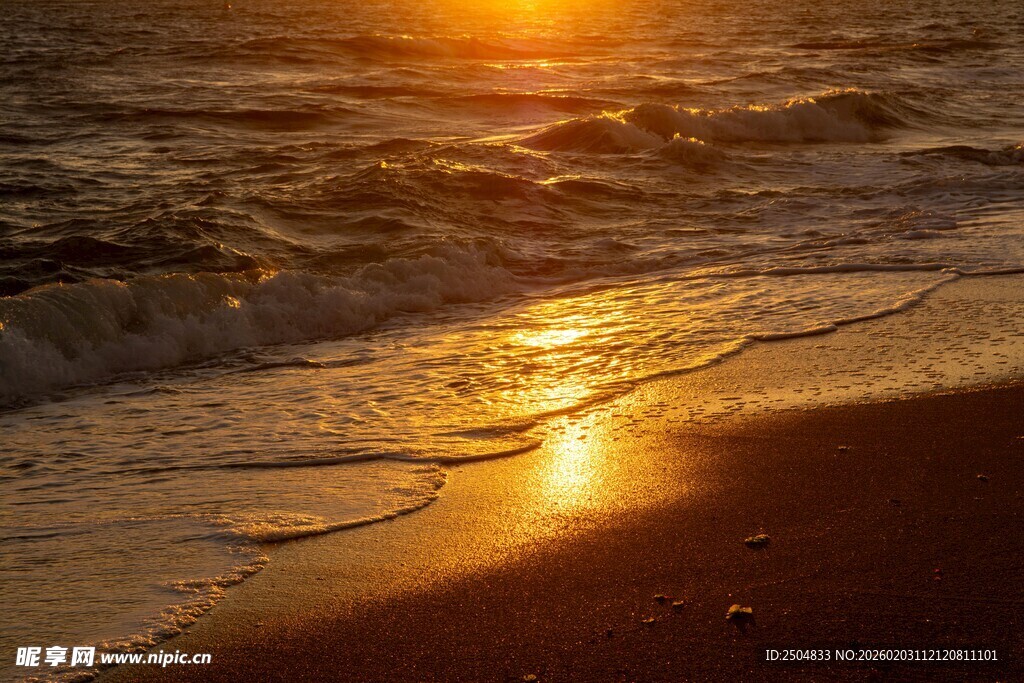 海边夕阳下的金色海浪