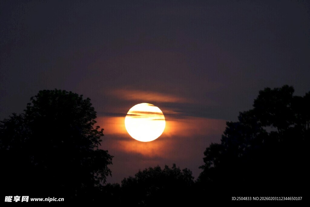 夕阳西下映树林