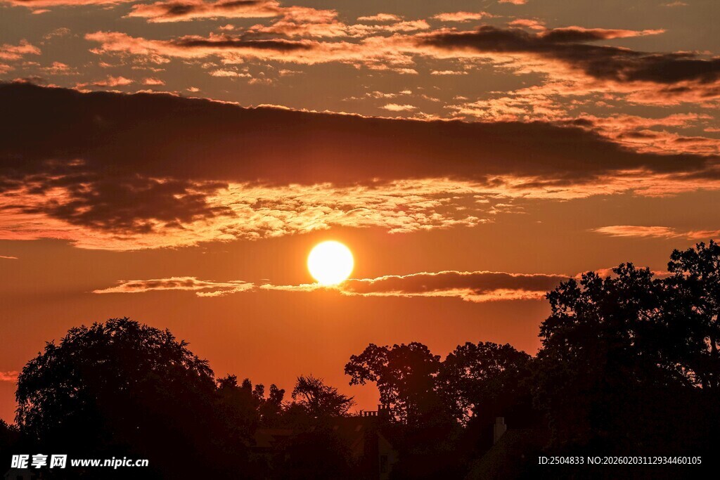夕阳下的树木与绚烂云霞