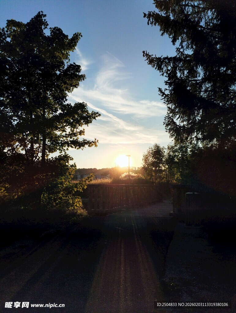 夕阳下的林间小道