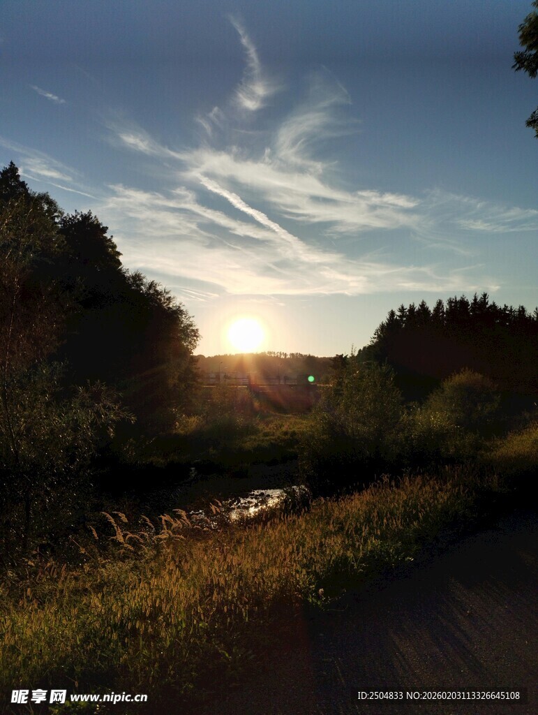 夕阳下的林间小道美景