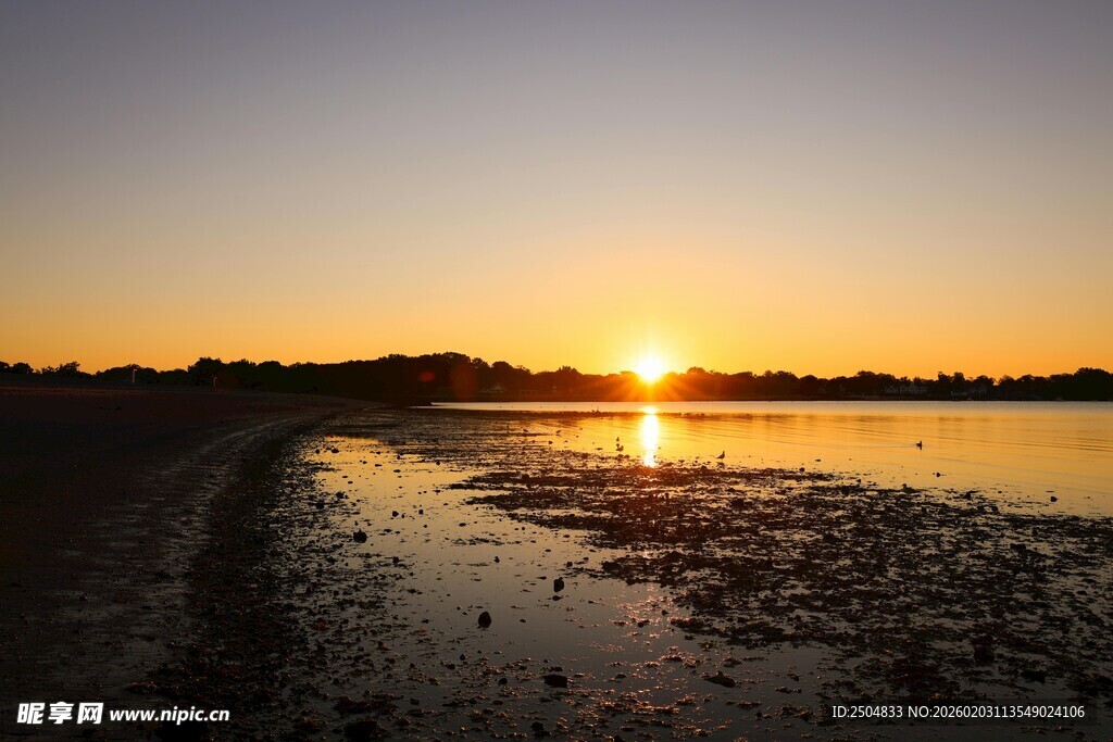 夕阳下的湿地美景