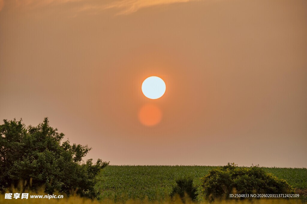 夕阳下的田野美景