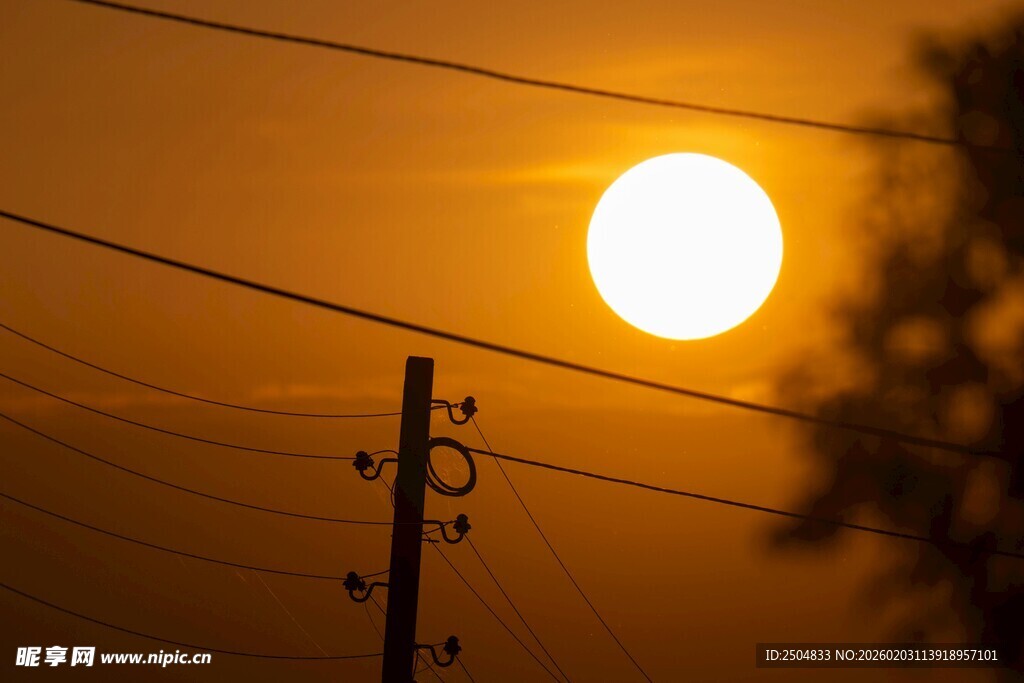 夕阳下的电线杆与电线
