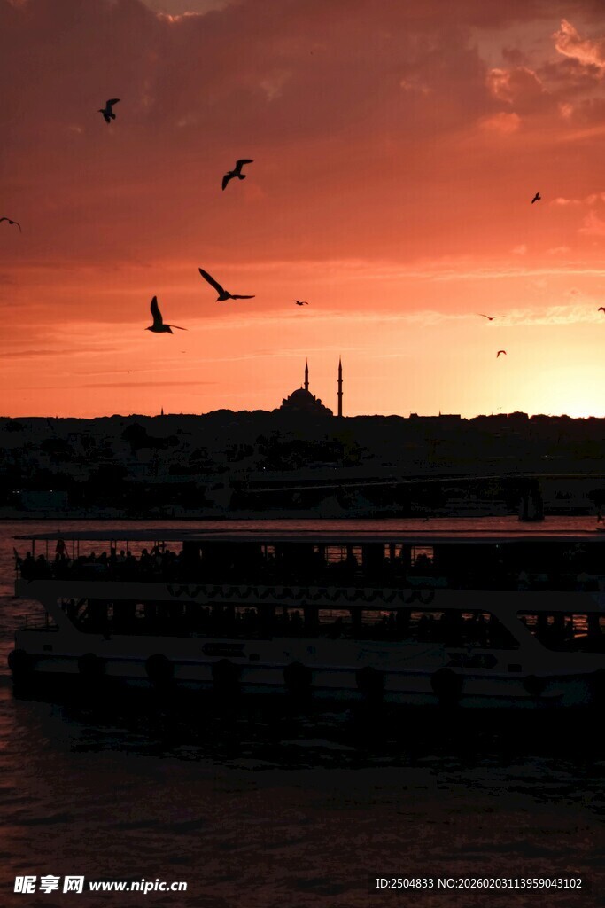 夕阳下飞鸟与城市天际线