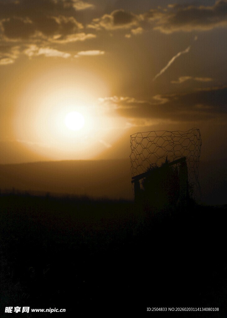 夕阳下的田野景象