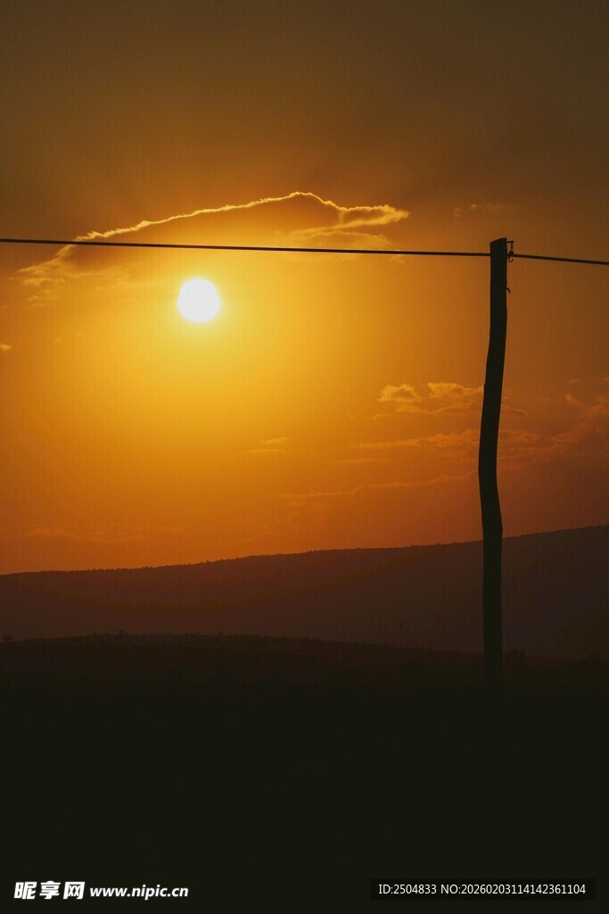 夕阳下的田野与电线