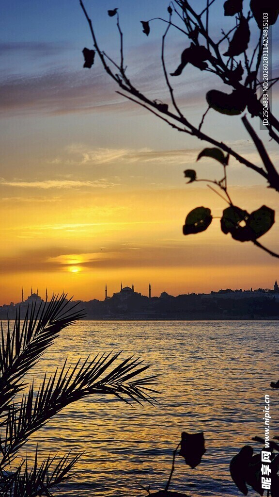 夕阳下的湖畔植物景观