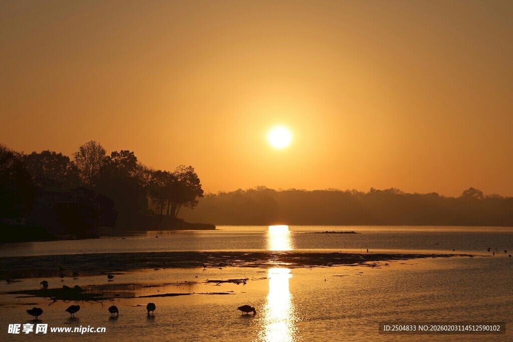 夕阳下宁静的河畔风光
