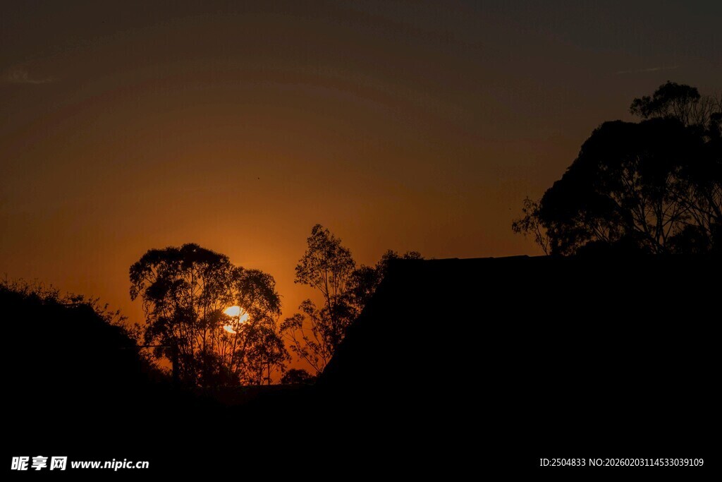 日落时分的树木与房屋剪影