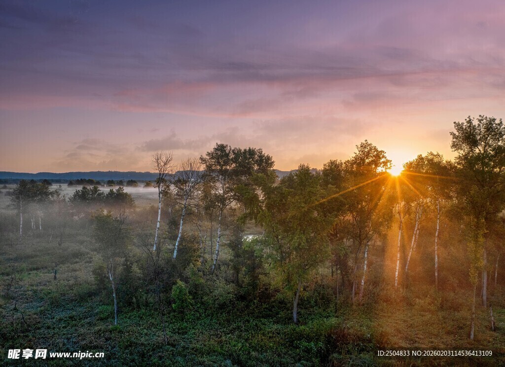 日落时分的田野风光