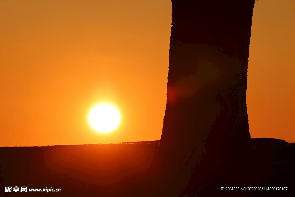 夕阳下的建筑剪影