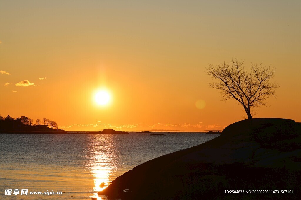 夕阳下孤树映于湖面