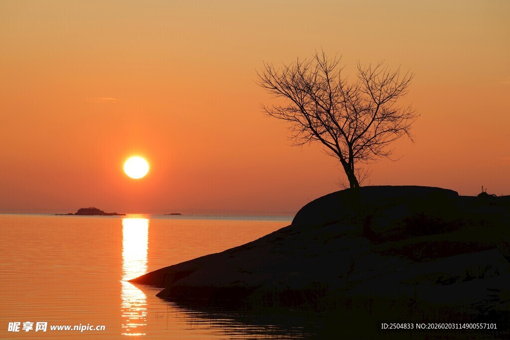 夕阳下孤树映于湖面