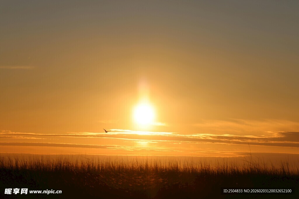 日出时分的壮丽天空景观