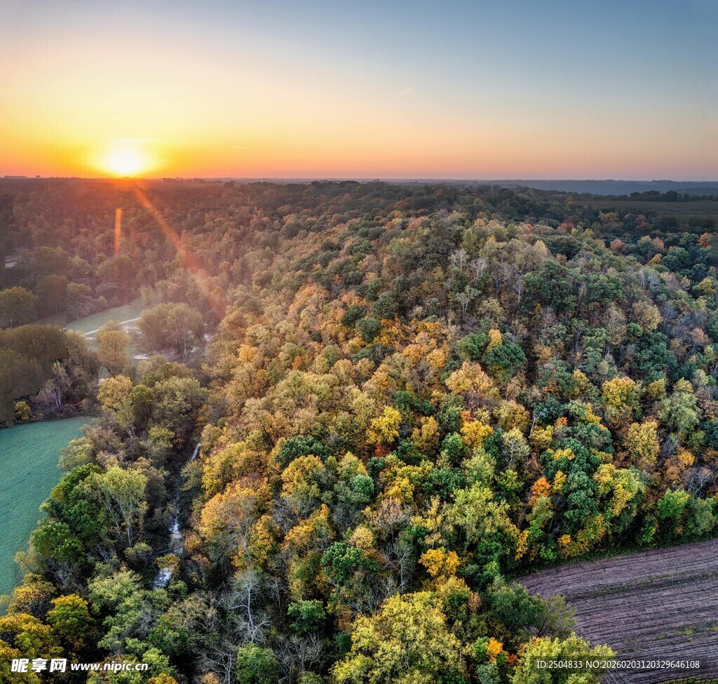 秋日森林日落美景