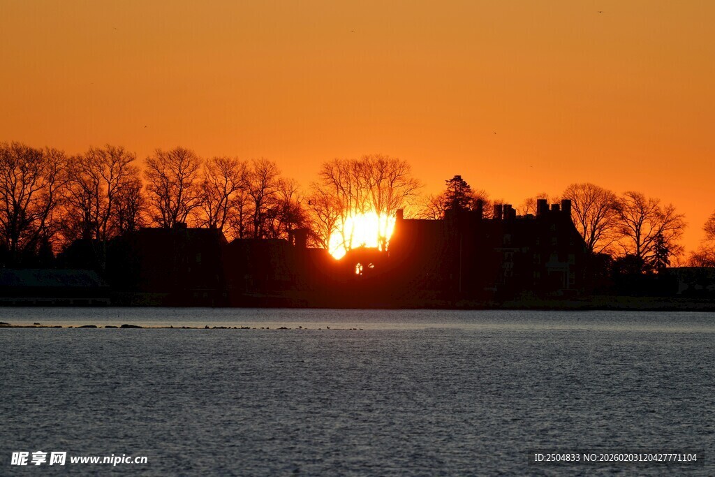 夕阳下的湖岸树木景观