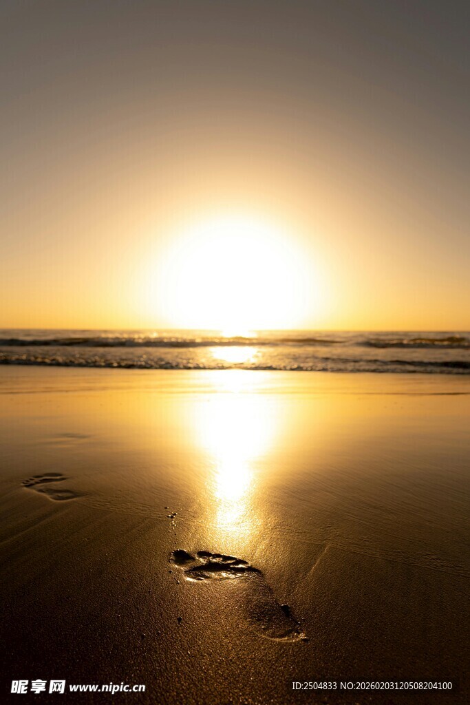 海边日落沙滩上的美丽光影