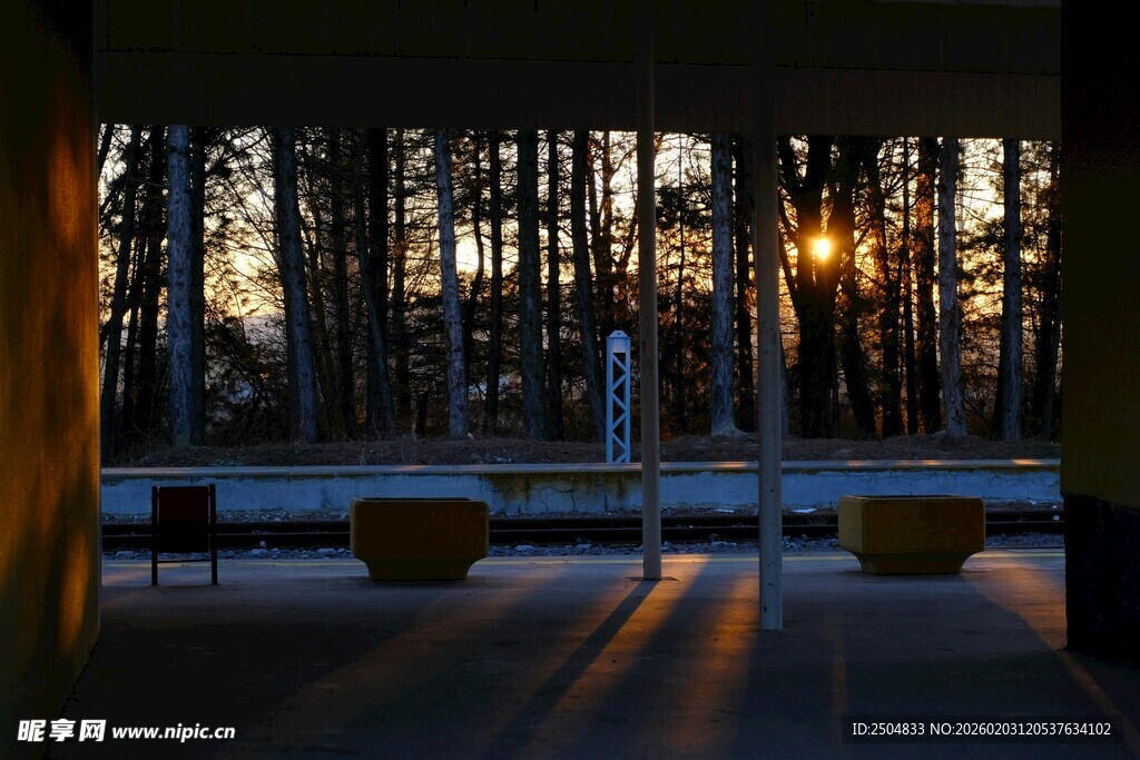 林间木屋前的静谧日落时刻