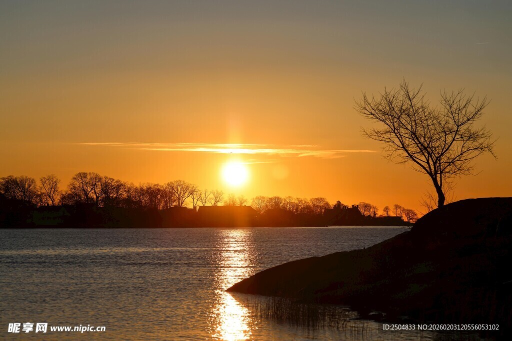 夕阳下河畔孤树美景