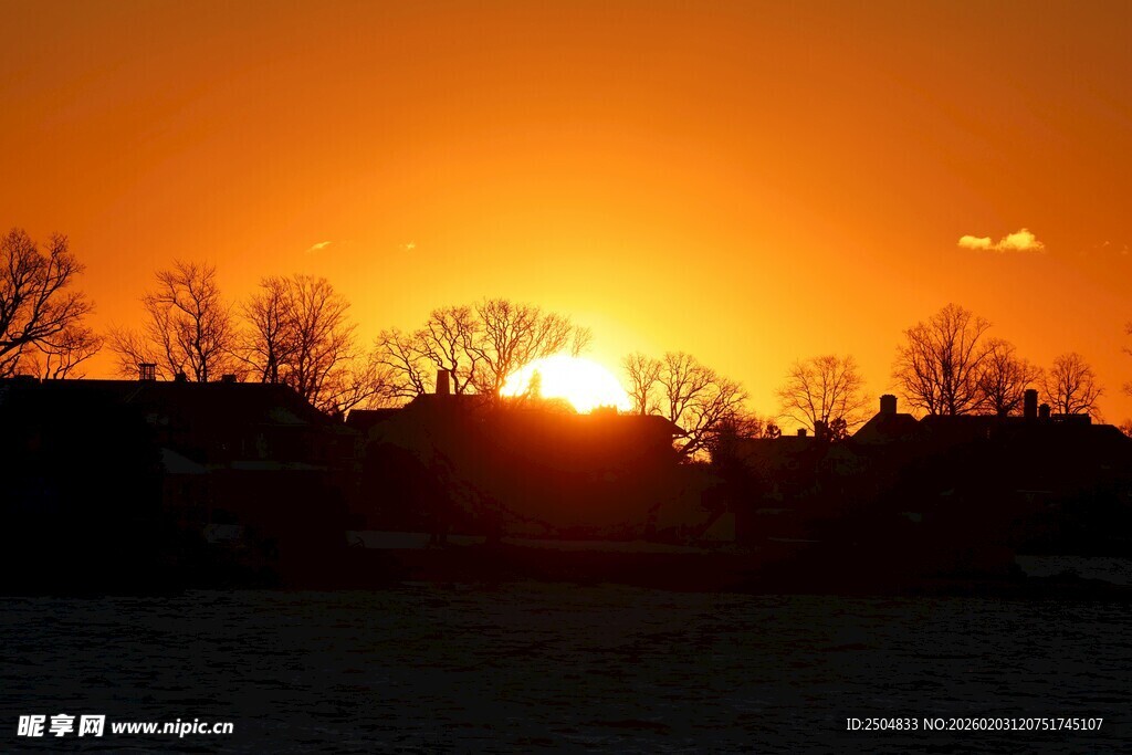 夕阳下的田野与树木